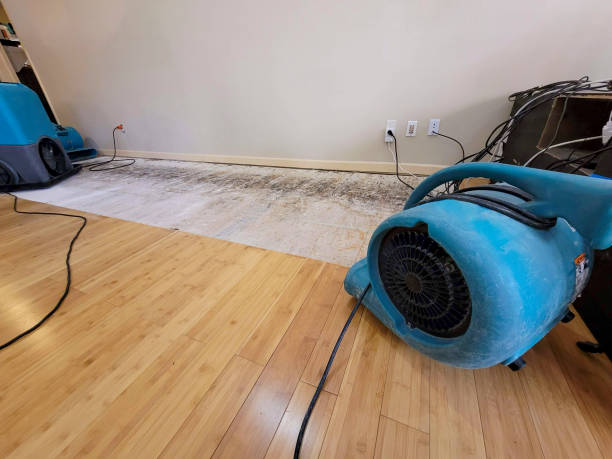 Professional Flood Damage Cleanup technician working in Lansdowne, VA